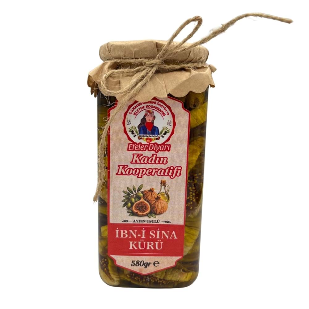 Efeler Diyarı Zeytinyağlı İncir Kürü 580 GR