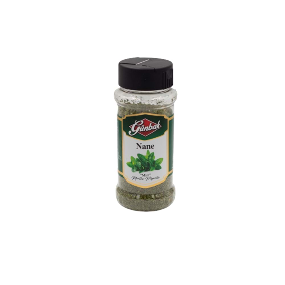 Günbak Nane Pet Şişe 30 Gr