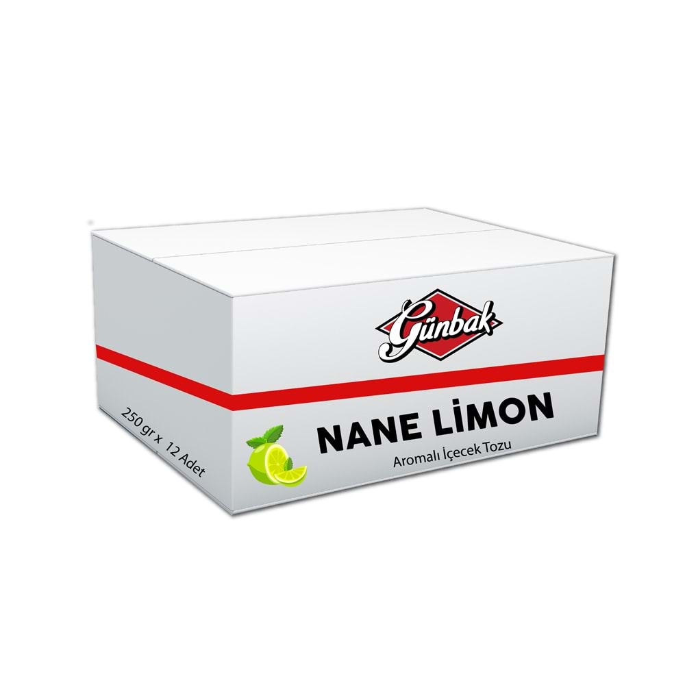 Günbak Nanelimon Aromalı İçecek Tozu 250 Gr Kutu 12 Adet
