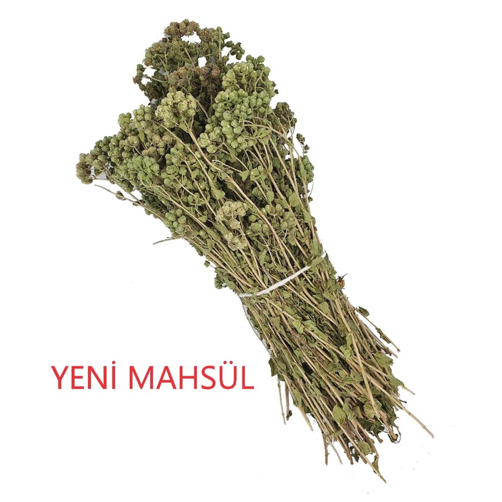 Dağ Kekik Demet 1 Bağ