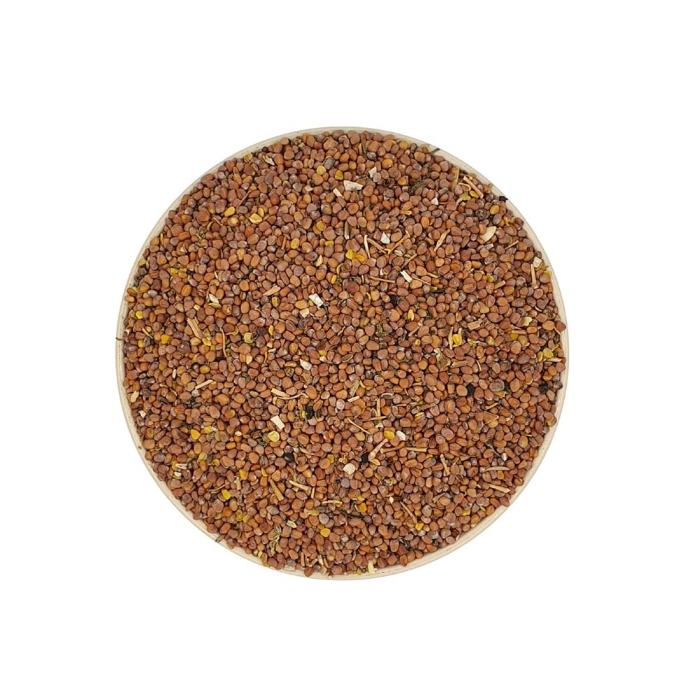 Turp Tohumu 1 Kg