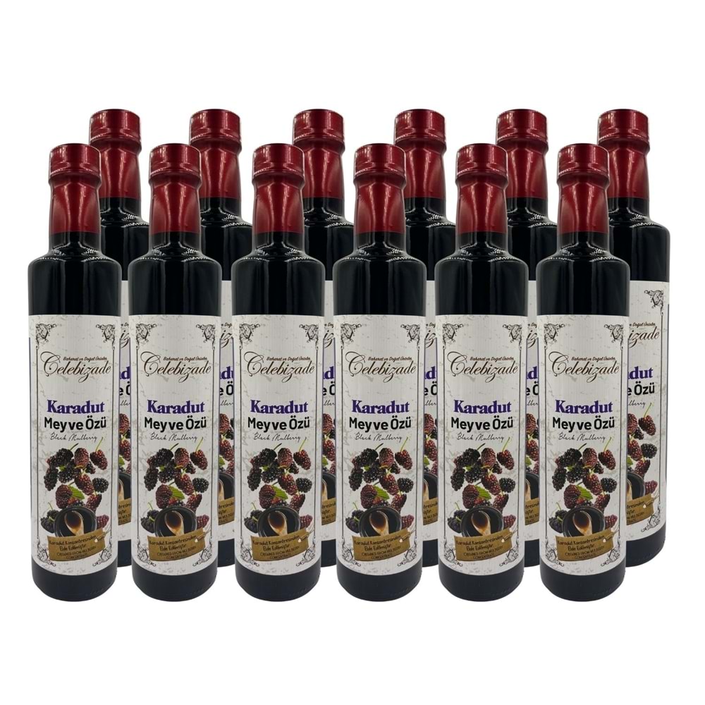 Çelebizade Karadut Özü 700 Gr x 12 Adet