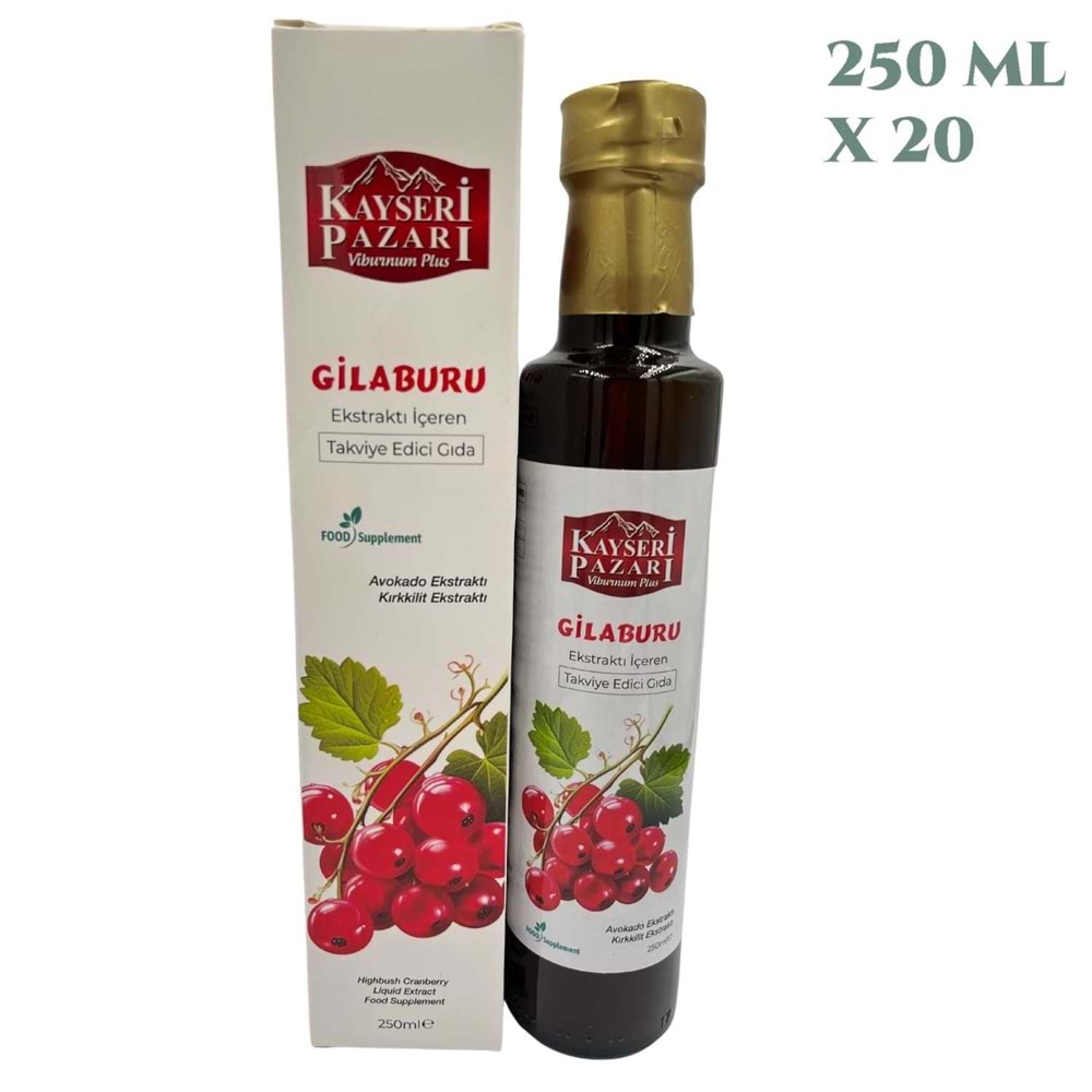 Kayseri Pazarı Gilaburu Ekstraktı 250 ML X 20 Adet