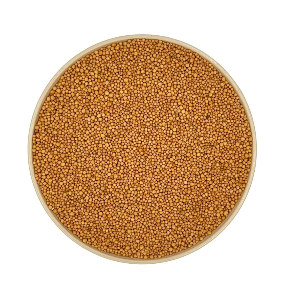 Hardal Tohumu Sarı Acı Dökme 5 Kg