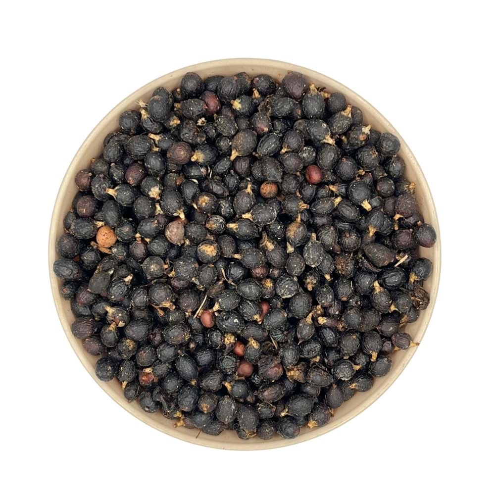 Cüce Palmiye Paket 1 KG