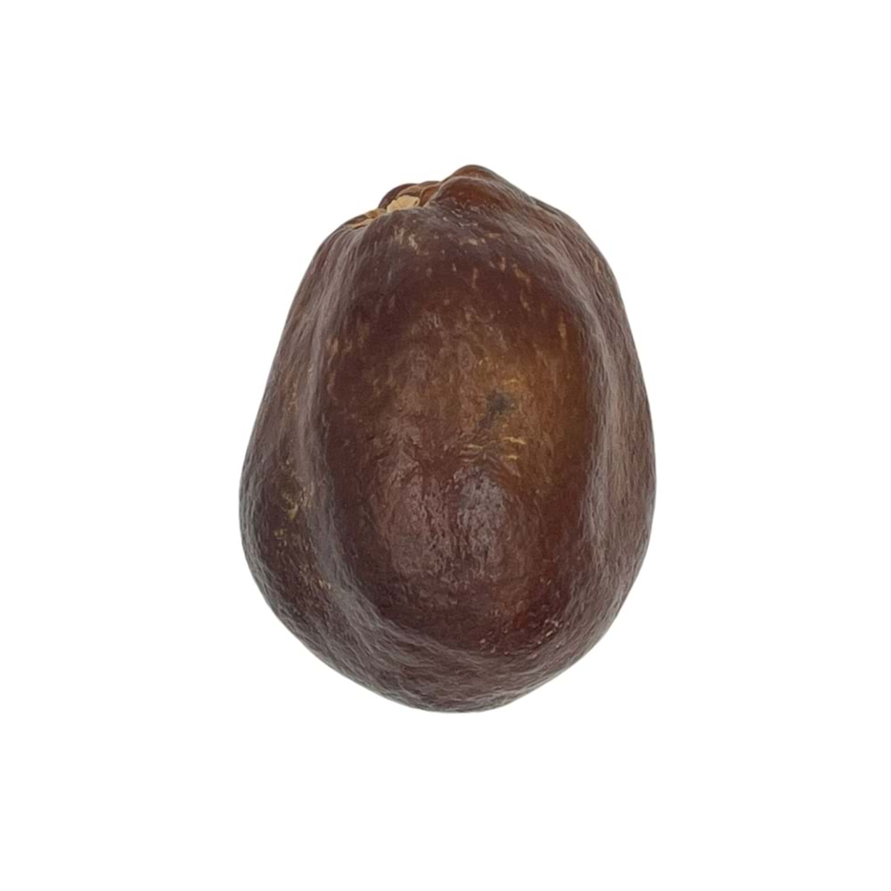 Adem Elması 1 Adet