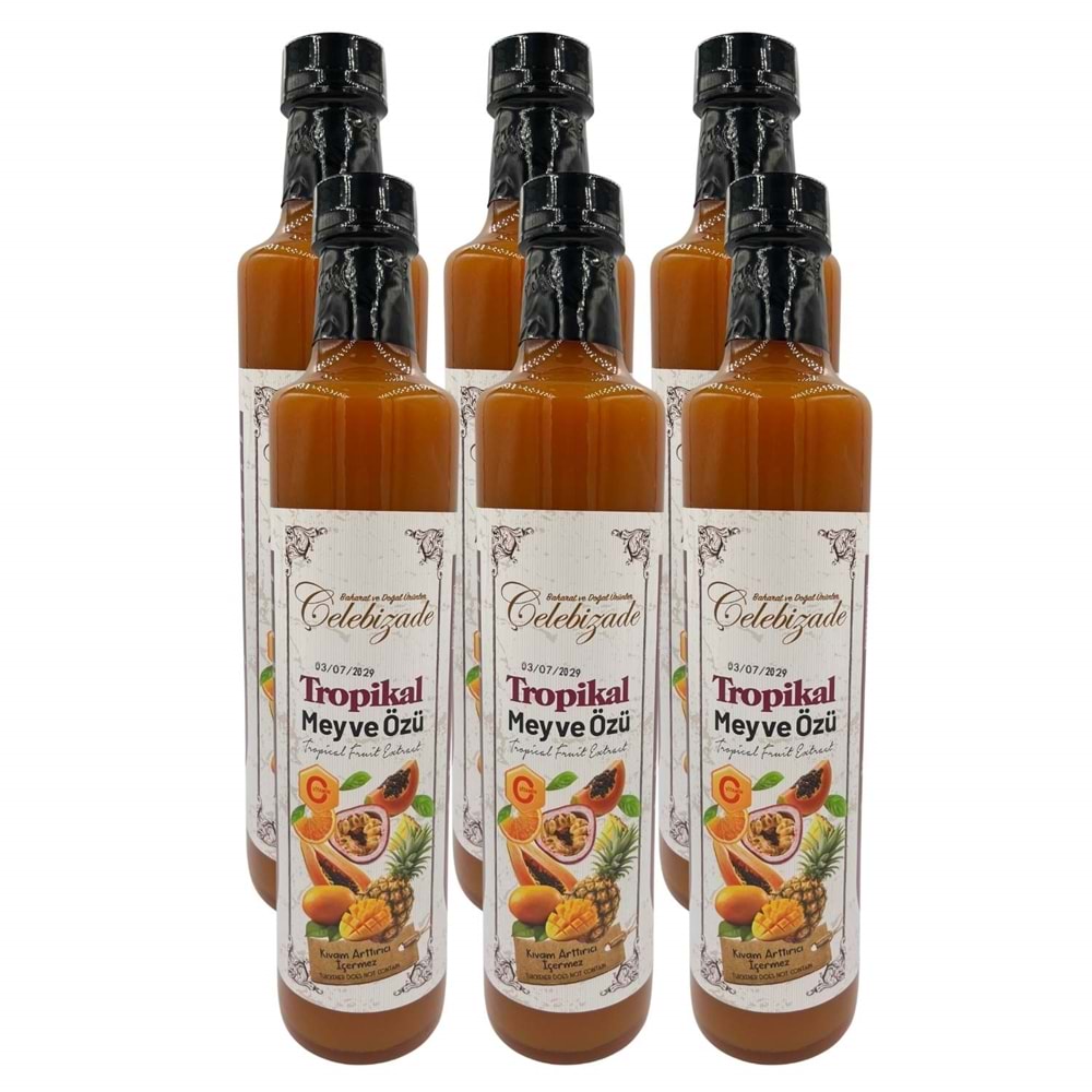 Çelebizade Tropikal Meyve Özü 650 Gr X 6 Adet