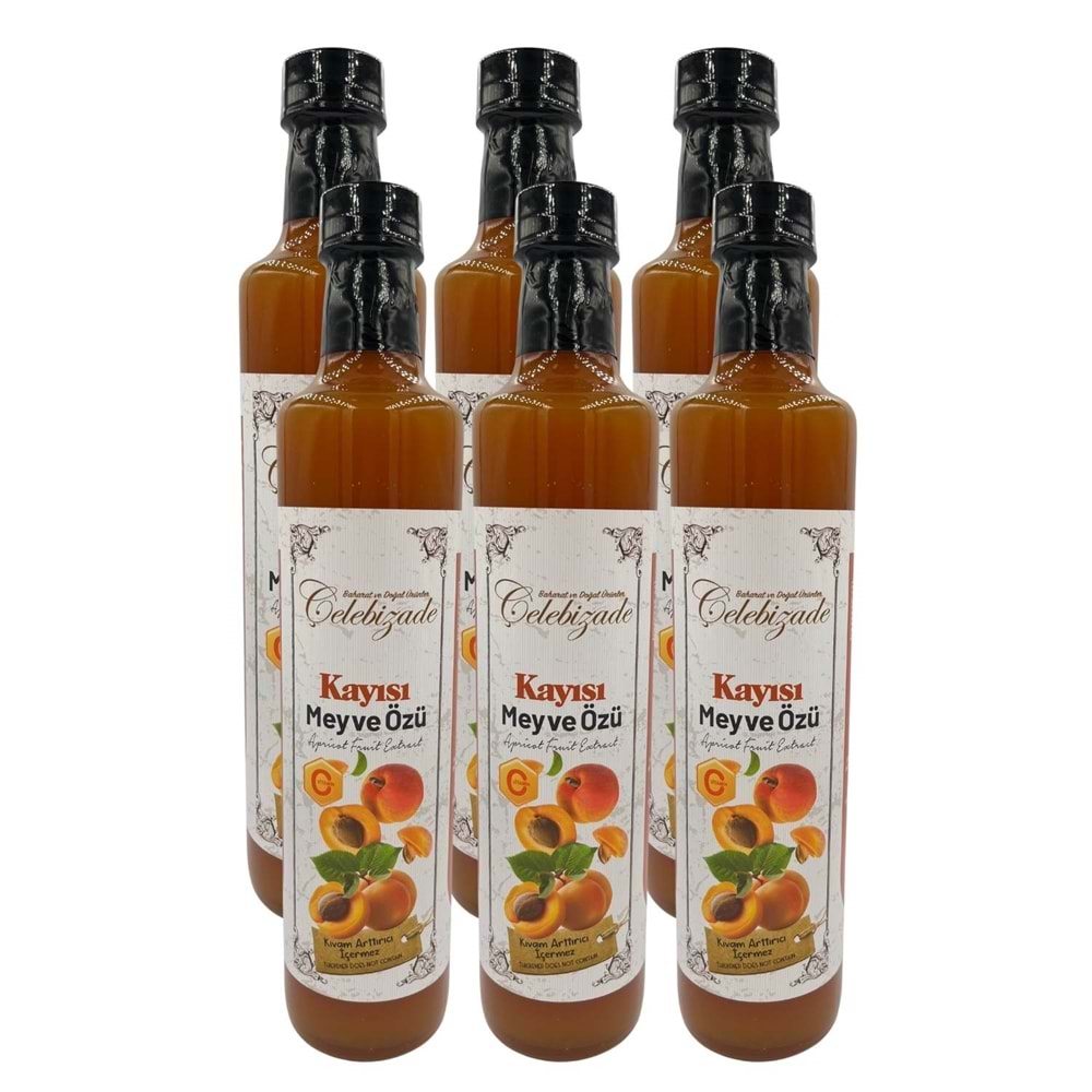 Çelebizade Kayısı Meyve Özü 650 Gr X 6 Adet