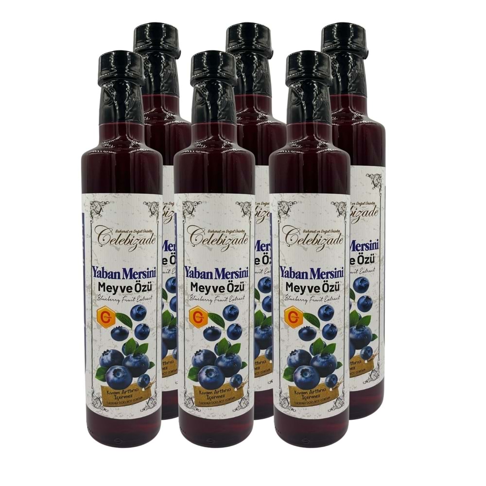 Çelebizade Yaban Mersini Meyve Özü 650 GR X 6 Adet