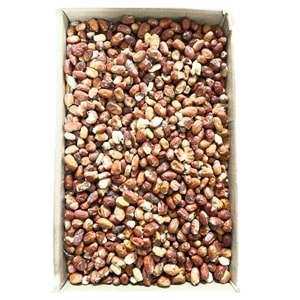 Öğütmelik İğde Meyvesi 25 Kg