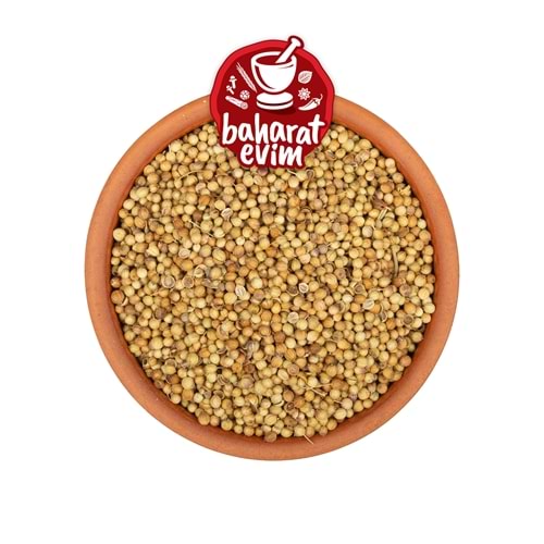 Günbak Tane Kişniş Dökme 5 Kg