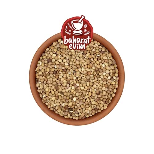 Tane Mahlep 1 Kg