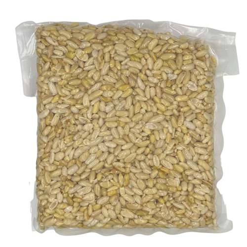 Yer Fıstığı İşlenmiş Vakumlu 1 Kg