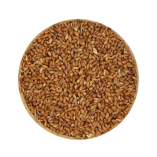 Süpürge Tohumu 1 Kg