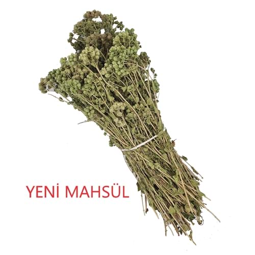 Dağ Kekik Demet 1 Bağ