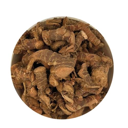 Günbak Tane Havlıcan Çin 1. Kalite 5 Kg