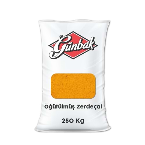 Günbak Öğütülmüş Zerdeçal 250 Kg