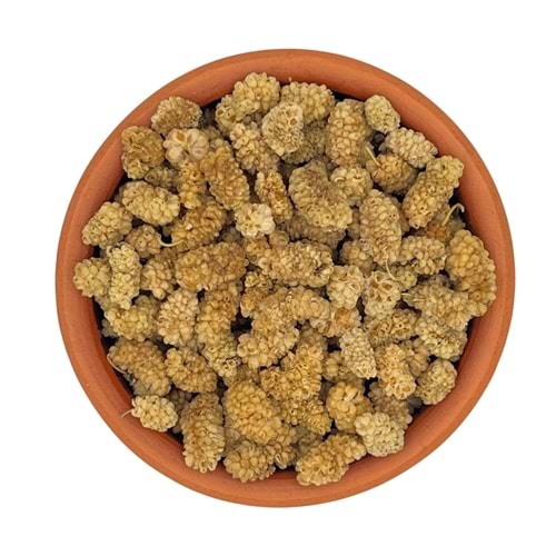 Beyaz Dut Kurusu Yerli 1 KG
