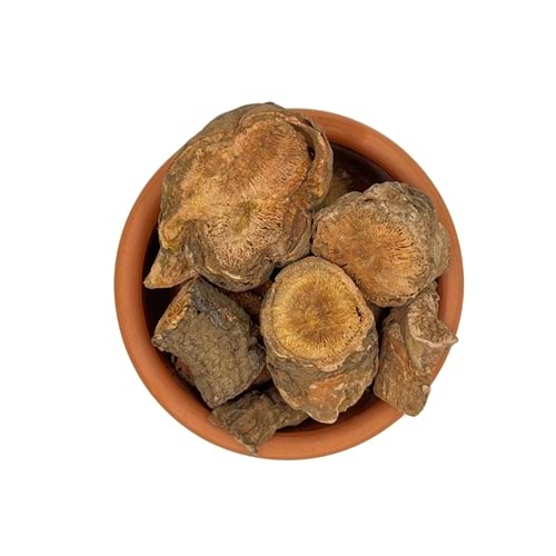 Çakşır Kökü Dökme 5 Kg