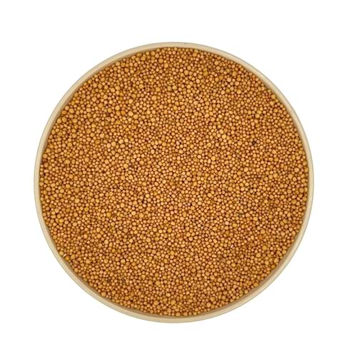 Hardal Tohumu Sarı Acı Dökme 5 Kg