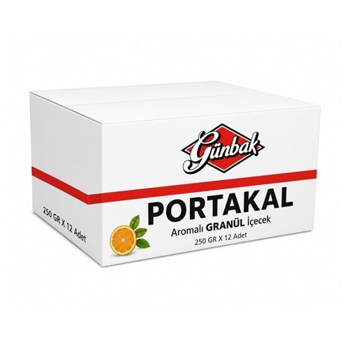 Günbak Portakal Aromalı GRANÜL İçecek 250 GR X 12 Adet