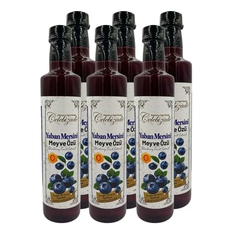 Çelebizade Yaban Mersini Meyve Özü 650 GR X 6 Adet