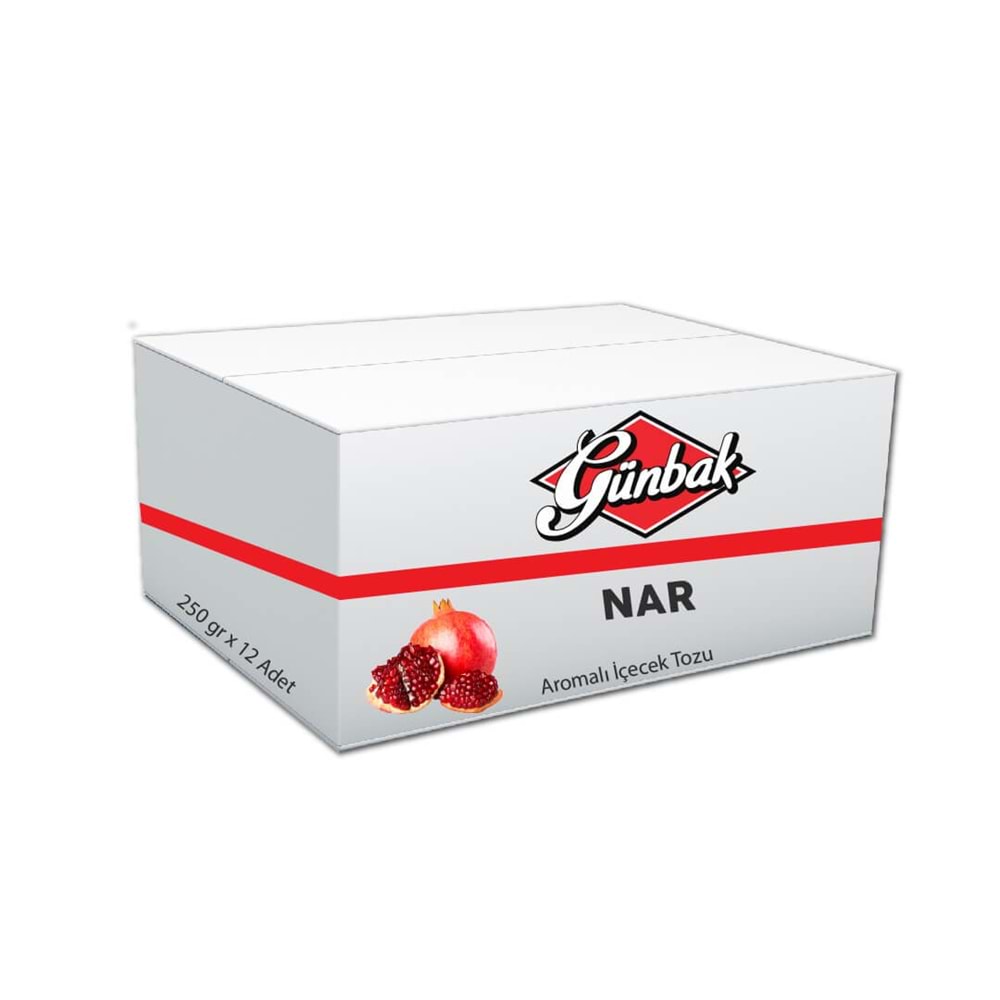 Günbak Nar Aromalı İçecek Tozu 250 Gr Kutu 12 Adet